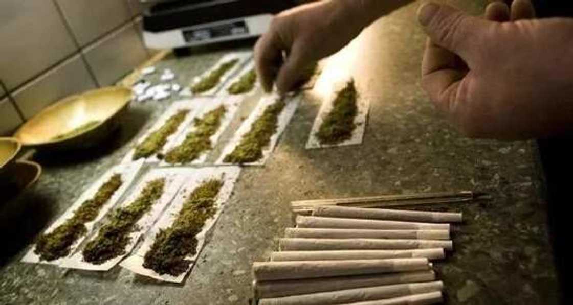 Matsalar shaye-shaye 'yan mata da samari a arewa ta kai Innaa-Lillahi Matsalar shaye-shaye 'yan mata da samari a arewa ta kai Innaa-Lillahi