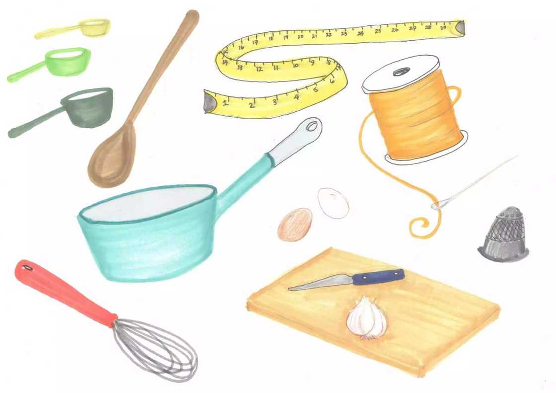 home economics home economics