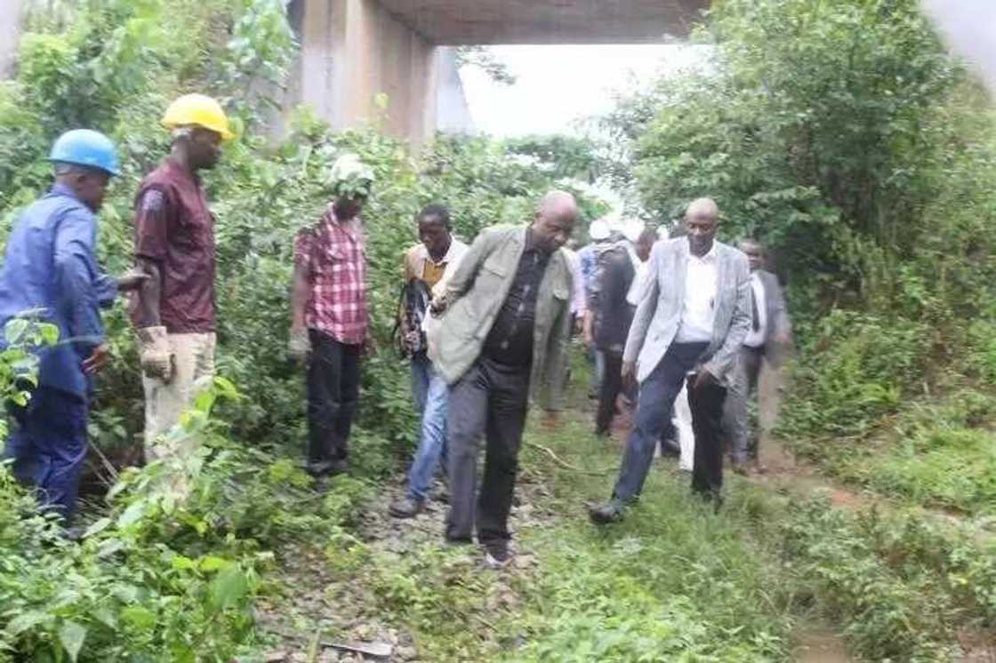 Itakpe-Ajaokuta-Warri rail line to start operation in June 2018 - Amaechi