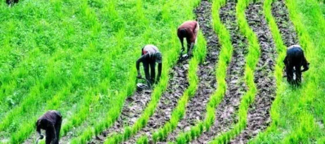 What are the key features of the National Land Use Act today? What are the key features of the National Land Use Act today?