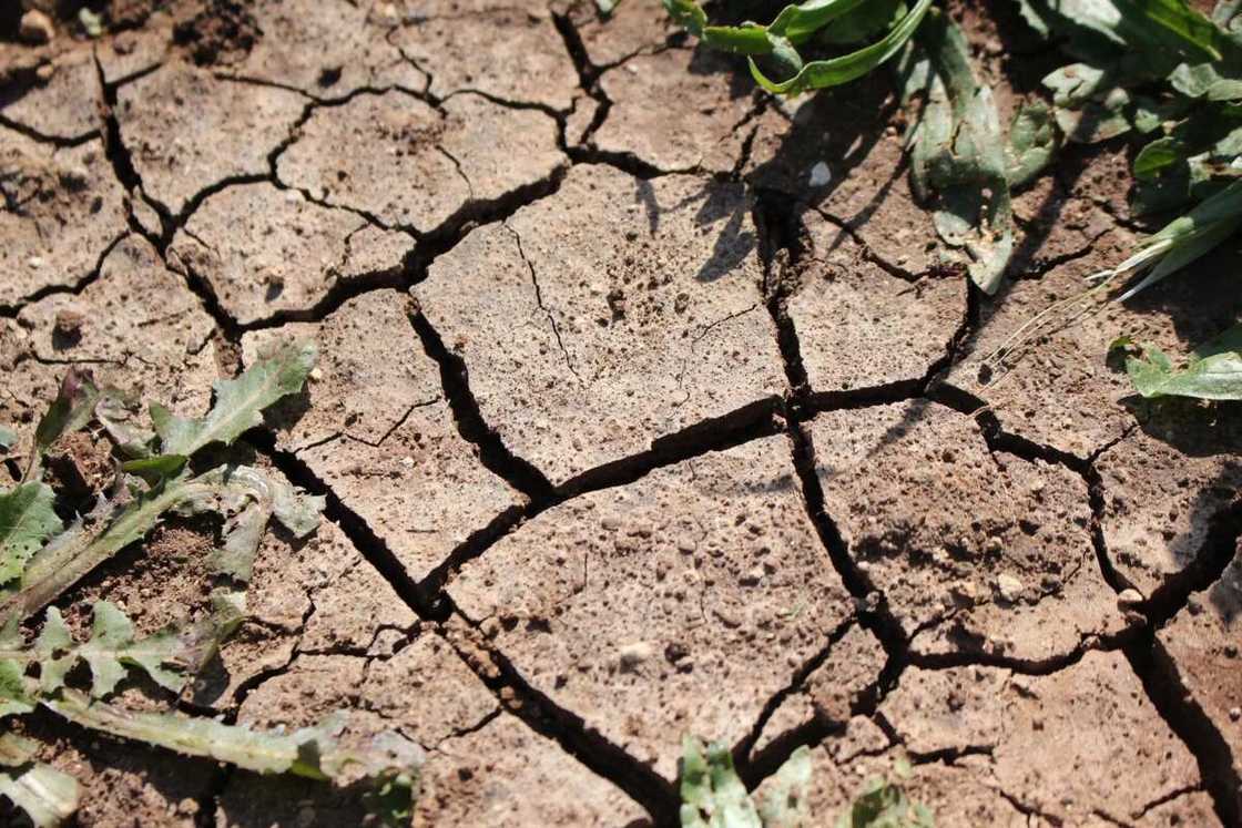 Dry lifeless ground