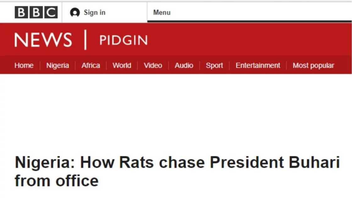 Garba Shehu was quoted to have said the president could not resume in his office because it has been infested by rats. Photo credit: Legit.ng screenshot