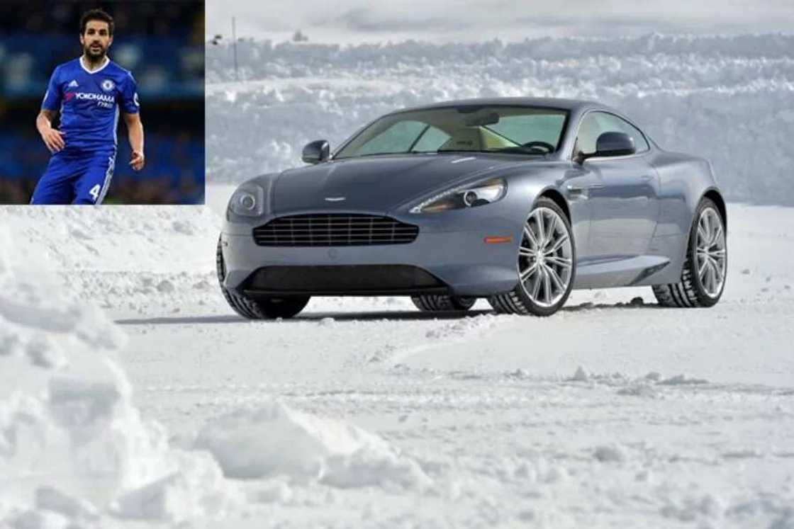 Cesc Fabregas Cesc Fabregas