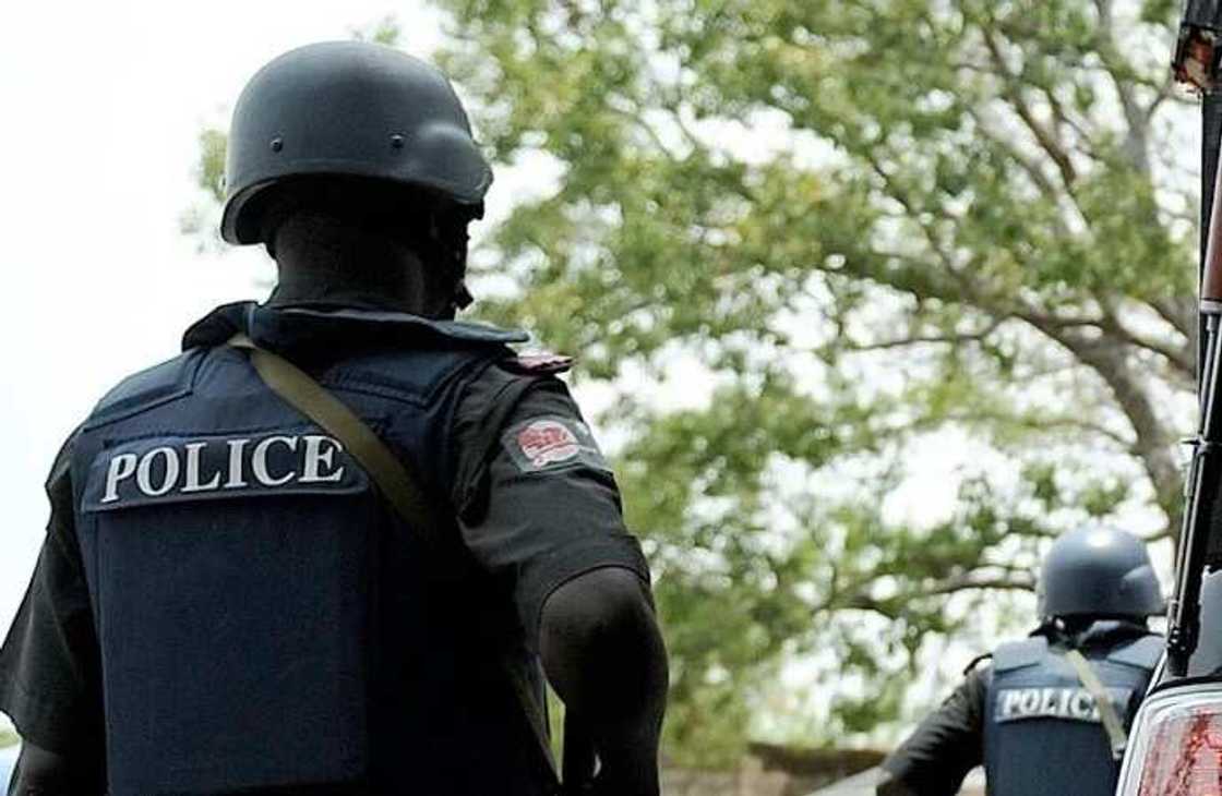 Nigeria Police recruitment 2018 begins: date and requirements