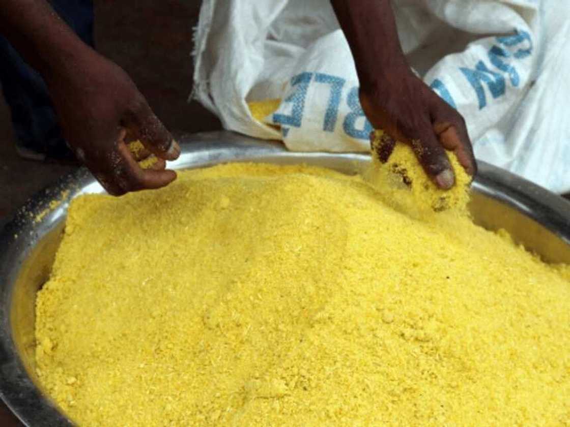 Covid-19: Gwamnatin tarayya ta raba wa talakan Najeriya garin rogo da sauran kayan abinci Covid-19: Gwamnatin tarayya ta raba wa talakan Najeriya garin rogo da sauran kayan abinci