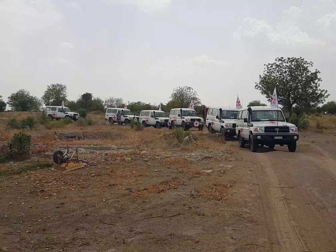 BREAKING: Jubilation as 82 released Chibok girls land in Abuja