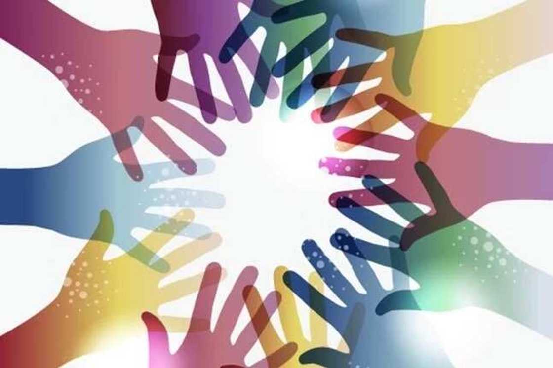 Different types of democracy in the world Different types of democracy in the world