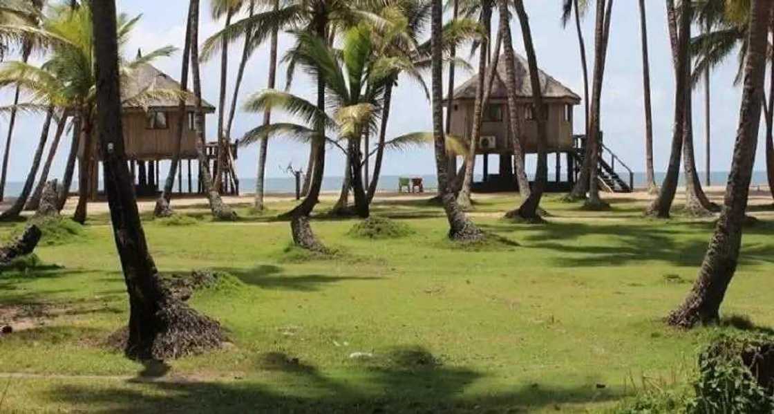 Hanyar lafiya: Abubuwa 10 da ya kamata ku kiyaye lokacin zafi Hanyar lafiya: Abubuwa 10 da ya kamata ku kiyaye lokacin zafi