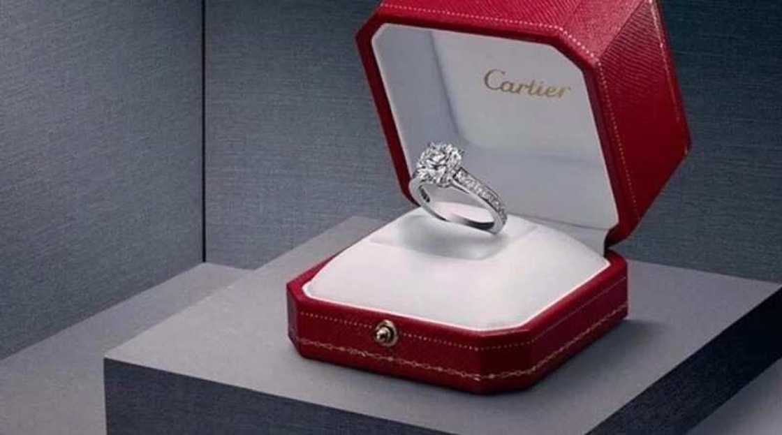 Kudi a kashe ta hanya mai kyau: Ronaldo ya baiwa budurwarsa kyautar Zoben naira miliyan 300 (Hoto) Kudi a kashe ta hanya mai kyau: Ronaldo ya baiwa budurwarsa kyautar Zoben naira miliyan 300 (Hoto)