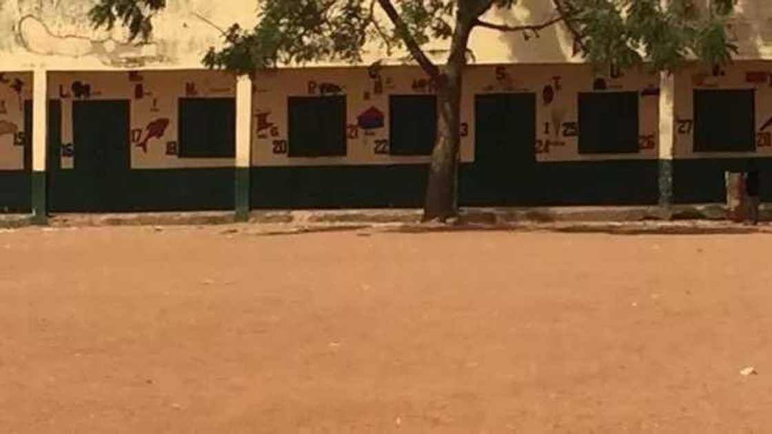 Malaman makarantun Firamare a Kaduna sunyi ma El-Rufai tawaye (hotuna) Malaman makarantun Firamare a Kaduna sunyi ma El-Rufai tawaye (hotuna)