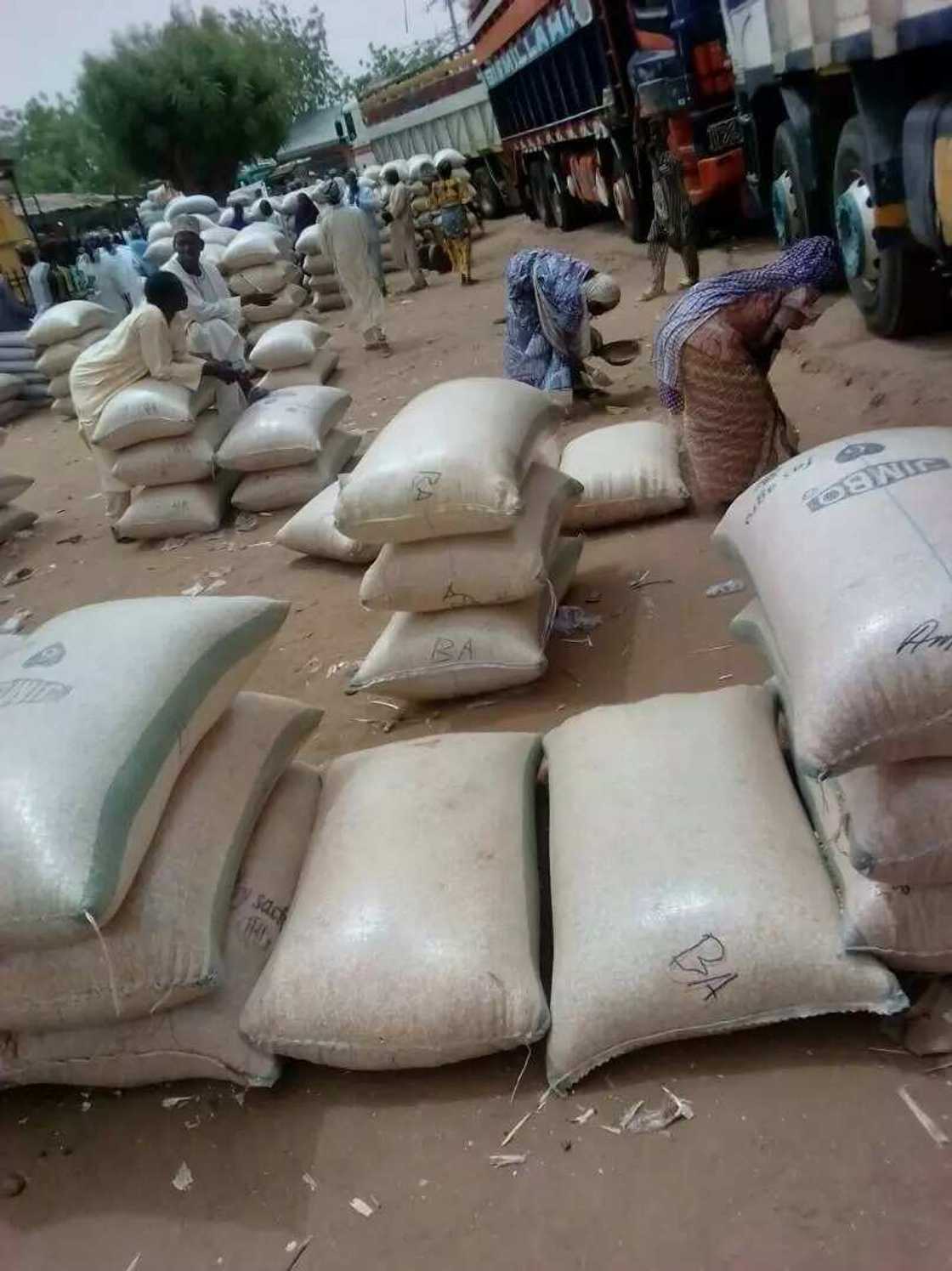 Abin takaici: Yunwa ta tuntsura mata suna tsince-tsincen hatsin da ya zube ƙasa Abin takaici: Yunwa ta tuntsura mata suna tsince-tsincen hatsin da ya zube ƙasa