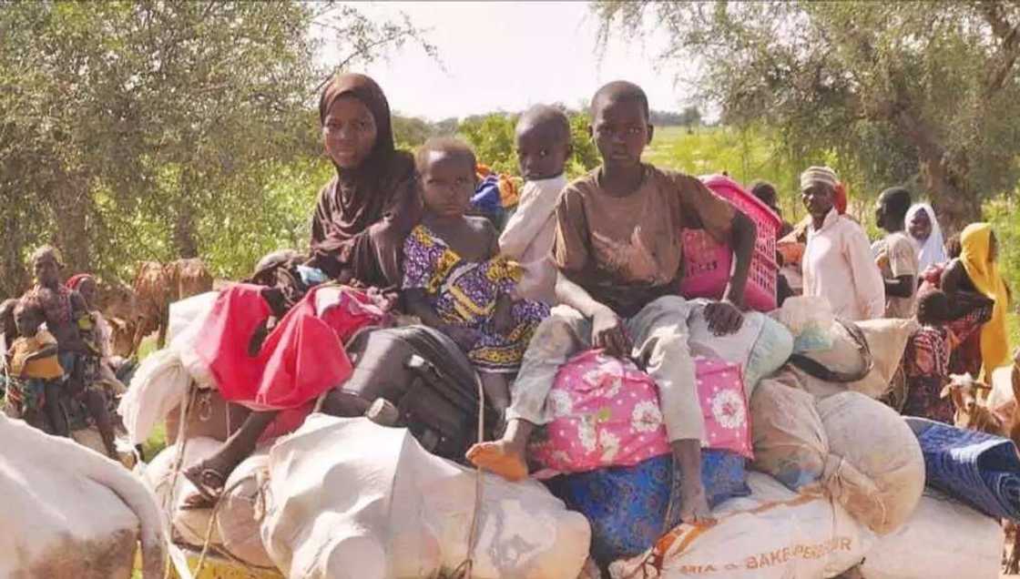 Allah yayi: 'Yan gudun hijira fiye da 6000 sun koma gidajensu a Zamfara Allah yayi: 'Yan gudun hijira fiye da 6000 sun koma gidajensu a Zamfara