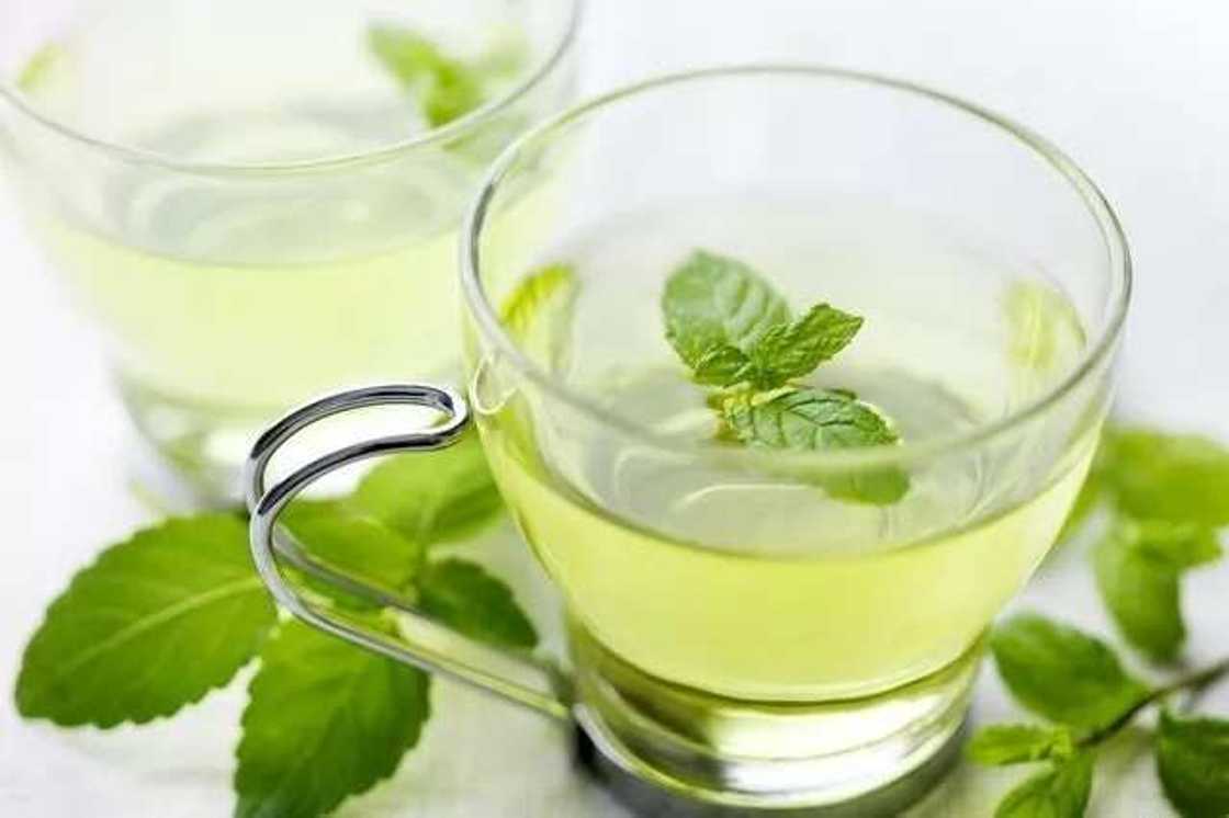 mint leaves mint leaves