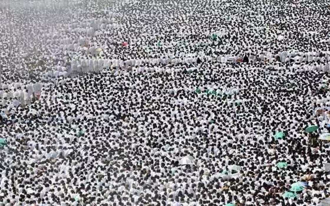 Manyan ibada guda 7 da ake bukatar Musulmi yayi a ranar Arafa Manyan ibada guda 7 da ake bukatar Musulmi yayi a ranar Arafa