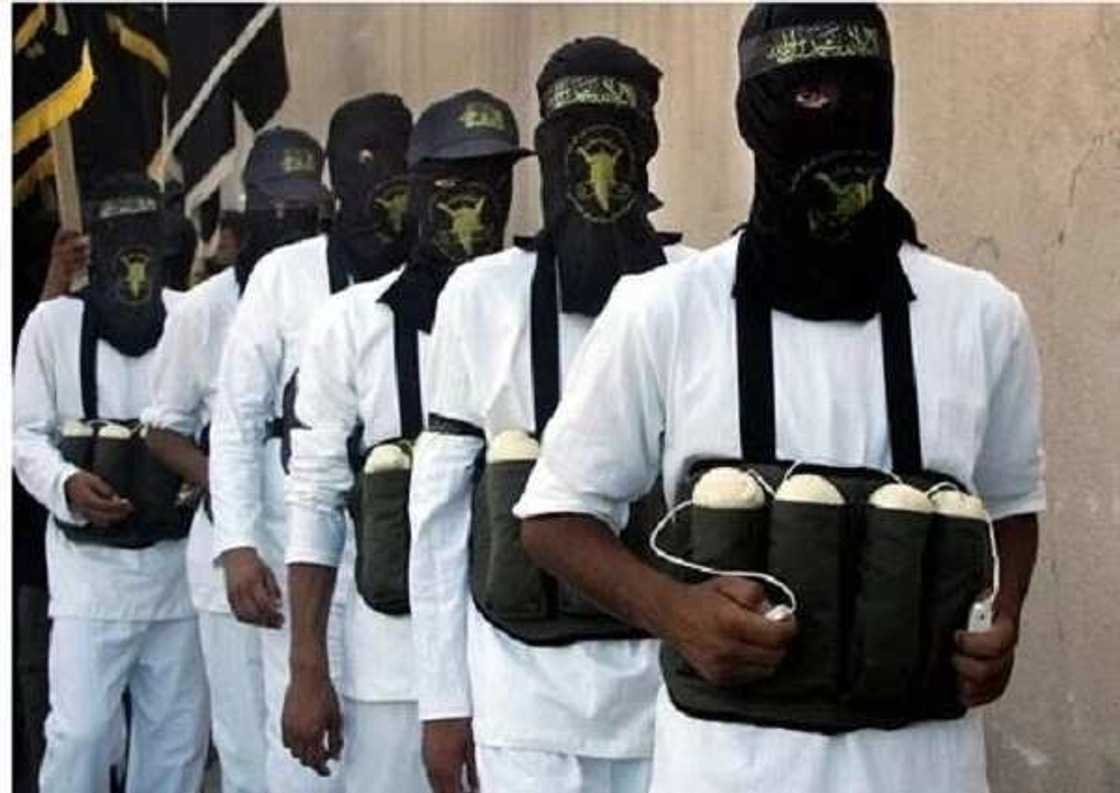 'Yan sandan Najeriya sun dakile wani mummunan harin kunar bakin wake a jihar Borno 'Yan sandan Najeriya sun dakile wani mummunan harin kunar bakin wake a jihar Borno