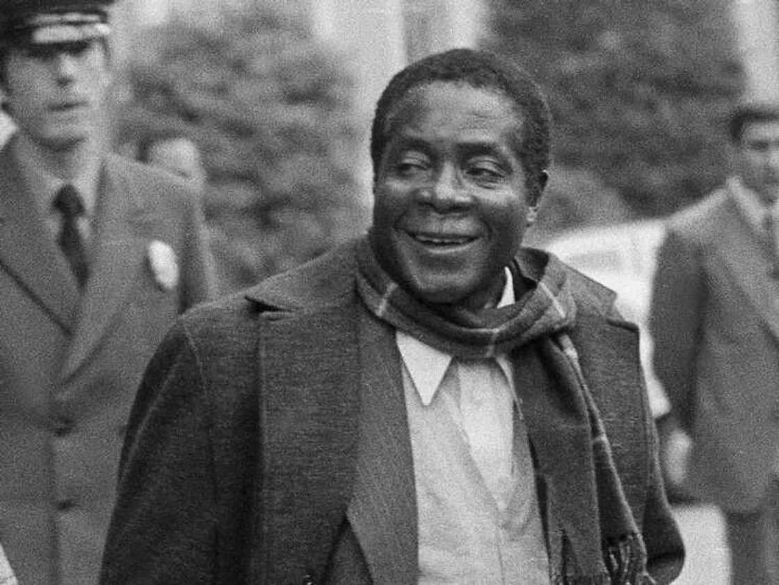 Youth of Mugabe Youth of Mugabe