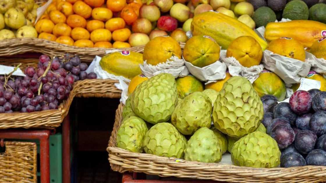 a lot of fruit a lot of fruit