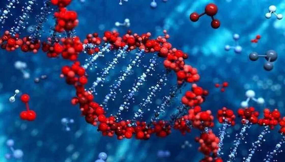 Genotype meaning Genotype meaning
