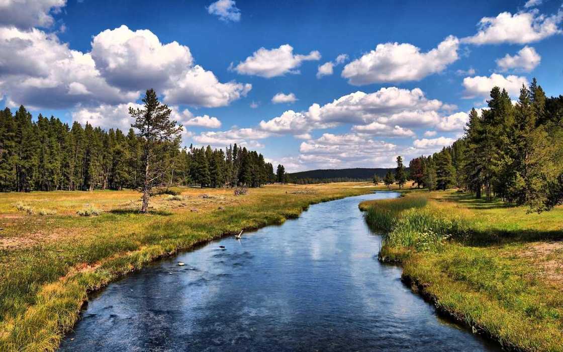 river river