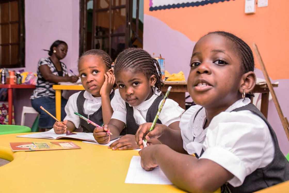 education in Nigeria education in Nigeria