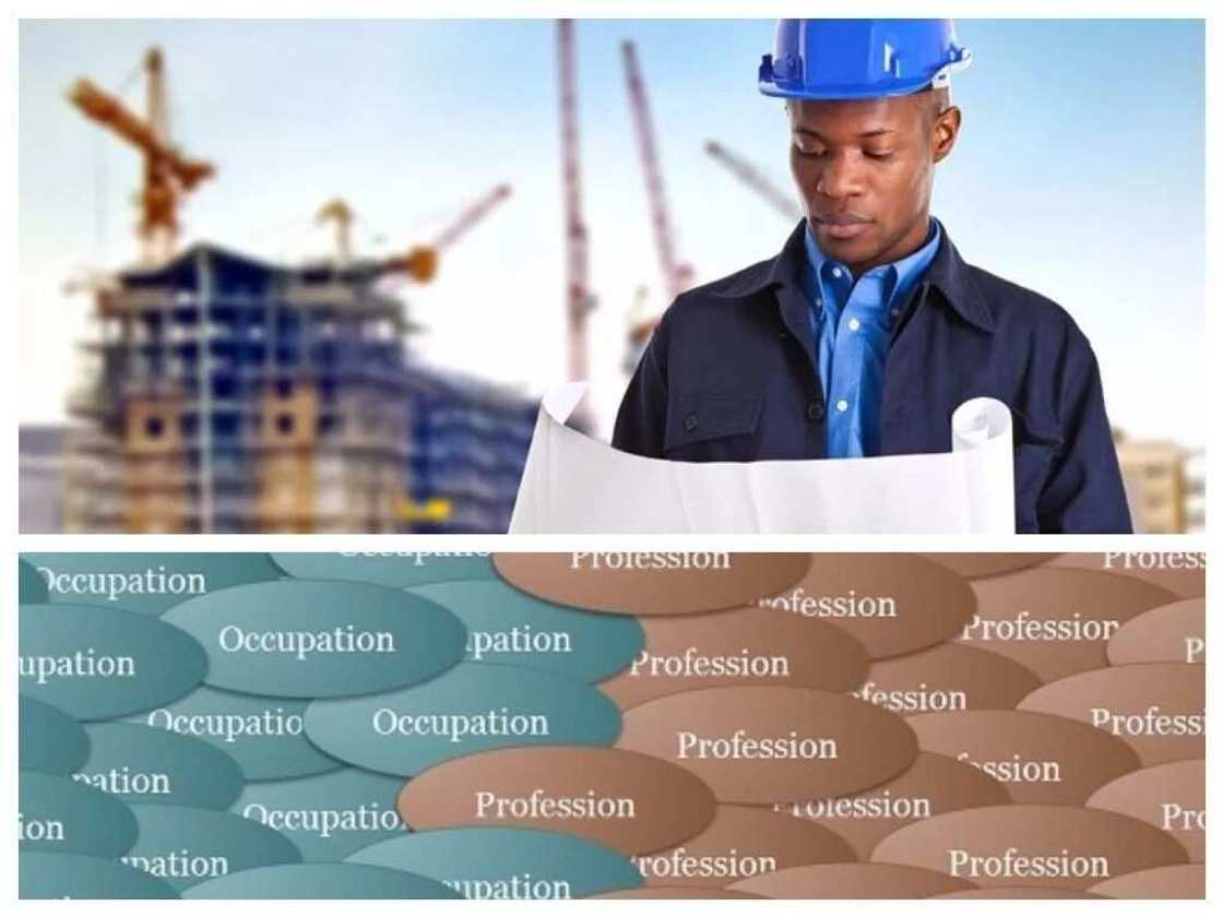 Difference between occupation and profession Difference between occupation and profession