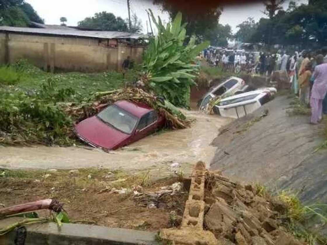 Mummunar ambaliyar ruwa ta afkawa jihar Neja