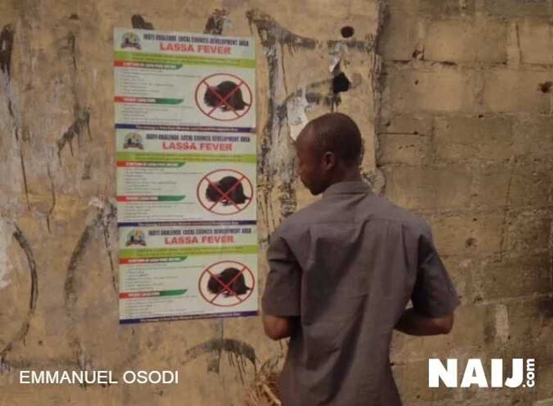 Cutar masassarar Lassa ta halaka mutane 21, ma'aikatan lafiya 10 a Najeriya Cutar masassarar Lassa ta halaka mutane 21, ma'aikatan lafiya 10 a Najeriya