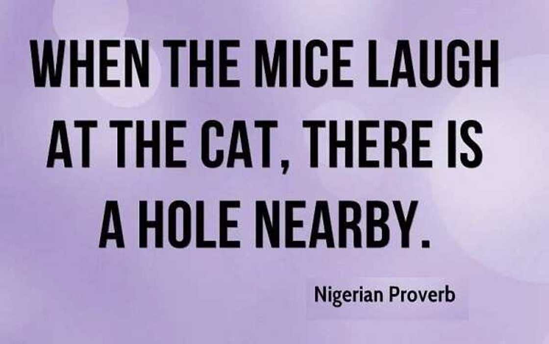 Top 15 Nigerian proverbs and their meanings