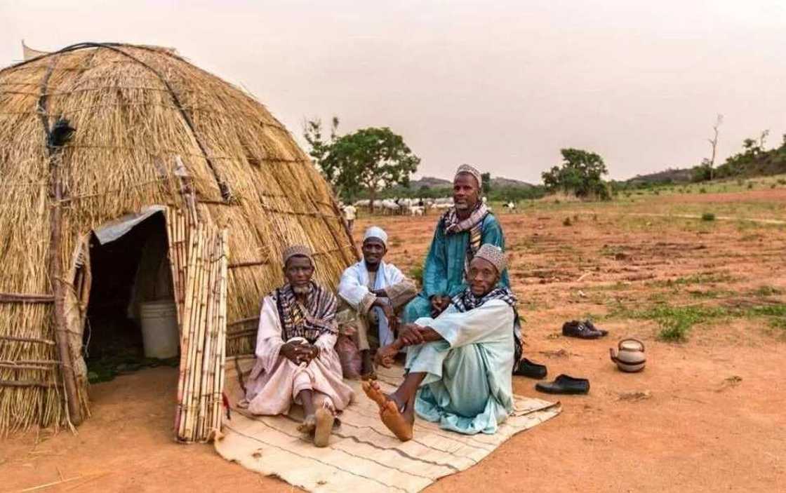 Fulani people in Nigeria Fulani people in Nigeria