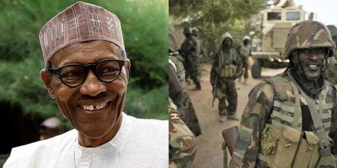 Boko Haram Sambisa camp zero Boko Haram Sambisa camp zero