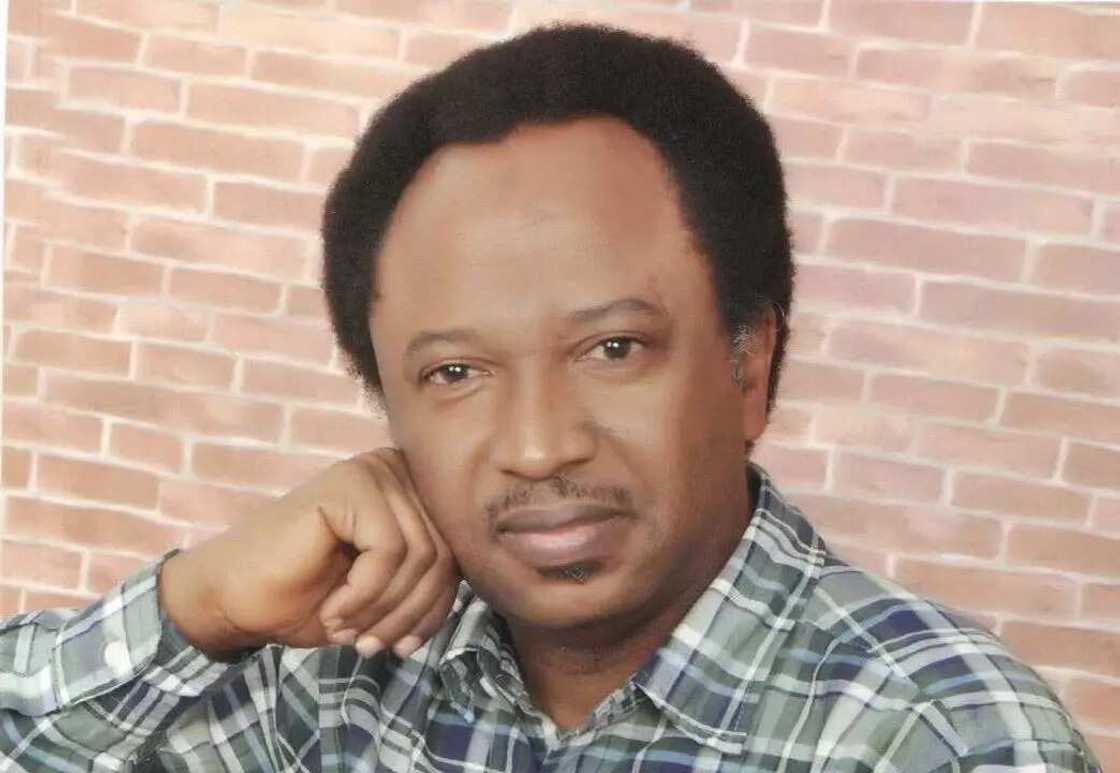 Nigeria's debt profile hits N17.36 trilion as Shehu Sani wants debt forgiveness Nigeria's debt profile hits N17.36 trilion as Shehu Sani wants debt forgiveness