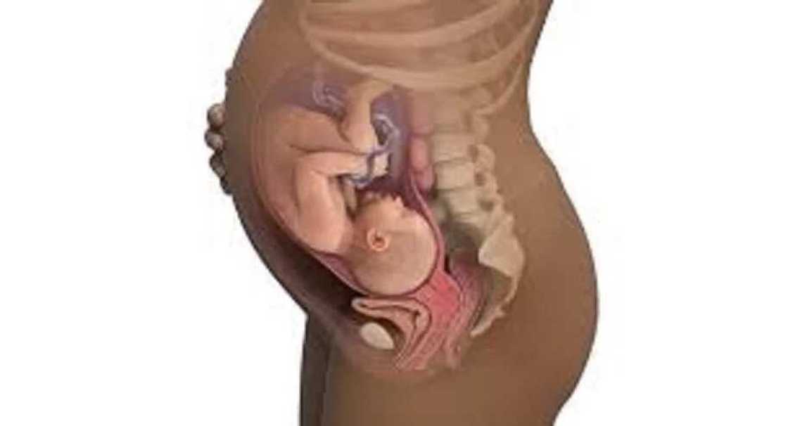 Tabdijan:Tabdijan: Mafi yawancin Mutane basu san haka rikon fitsari ke da illa ga Mutum ba Tabdijan:Tabdijan: Mafi yawancin Mutane basu san haka rikon fitsari ke da illa ga Mutum ba