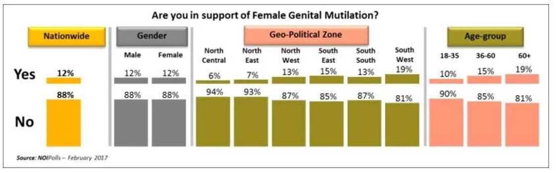 Nigerians express their support for a law to be passed to end FGM