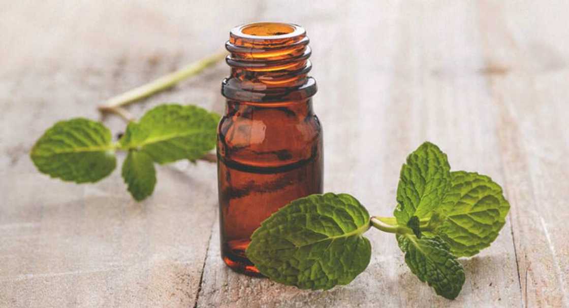 Essential oils for perfume Essential oils for perfume
