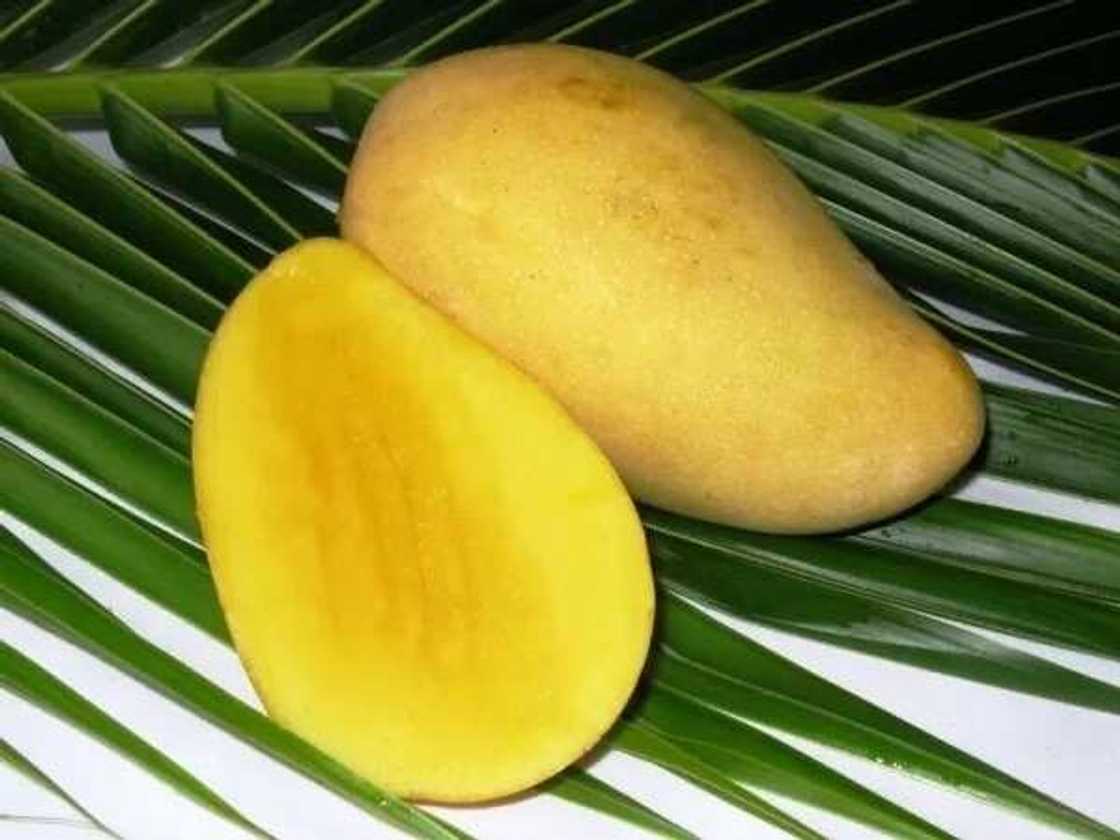 yellow green mango