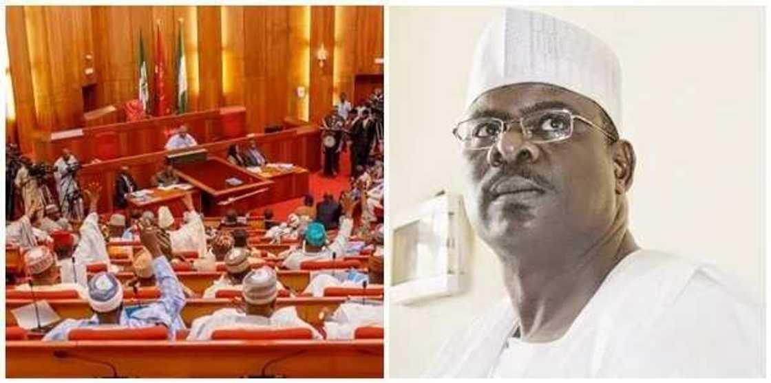 Ku tsame ni cikin batun sace Sandar Majalisa domin babu hannu na ciki - Ndume Ku tsame ni cikin batun sace Sandar Majalisa domin babu hannu na ciki - Ndume