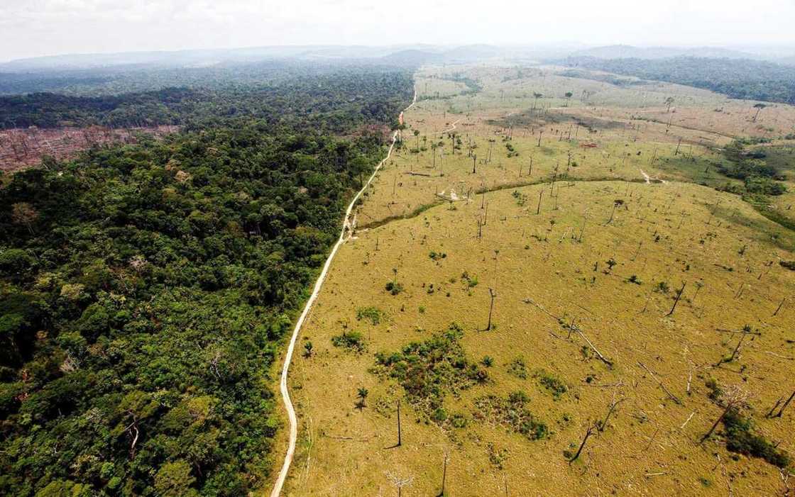 Deforestation in Nigeria and its implication on economy Deforestation in Nigeria and its implication on economy