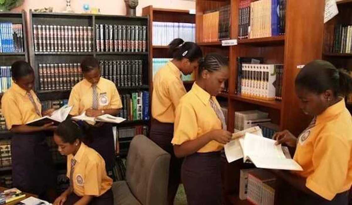 Nigeria education Nigeria education