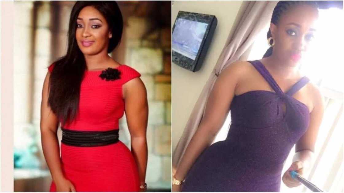 Firefighter Firefighter