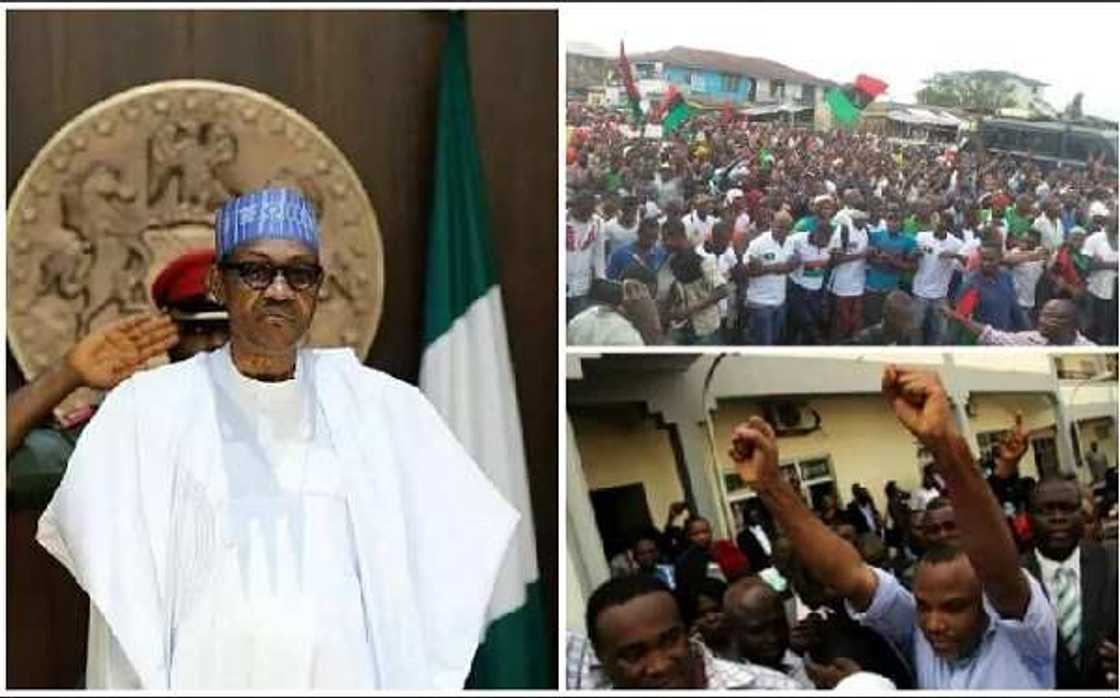 BREAKING: Southern Cameroon joins Biafra, pledges support for IPOB BREAKING: Southern Cameroon joins Biafra, pledges support for IPOB