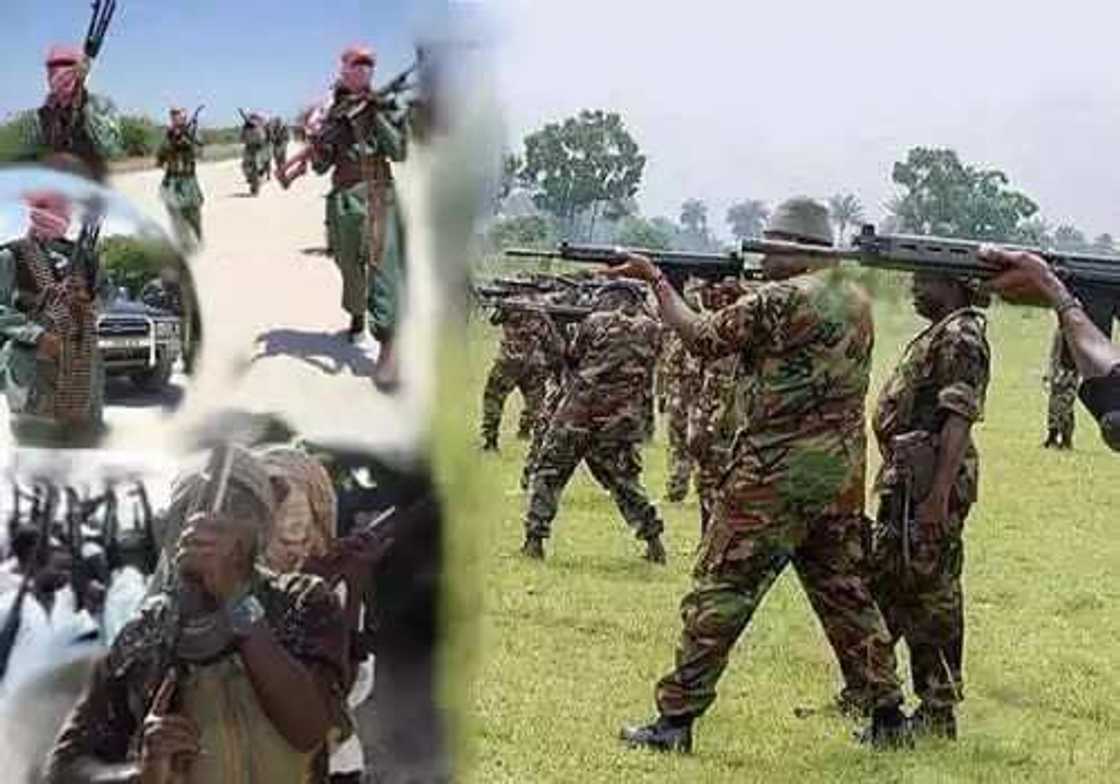 Desperate Boko Haram Sect Meet Army's Brick Wall In Borno Desperate Boko Haram Sect Meet Army's Brick Wall In Borno