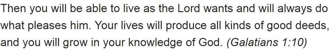 How to please god: Bible verse How to please god: Bible verse