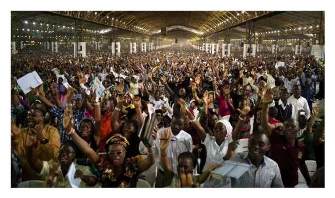 OPINION: Today’s pastors are all fake; Jesus is the only true pastor OPINION: Today’s pastors are all fake; Jesus is the only true pastor