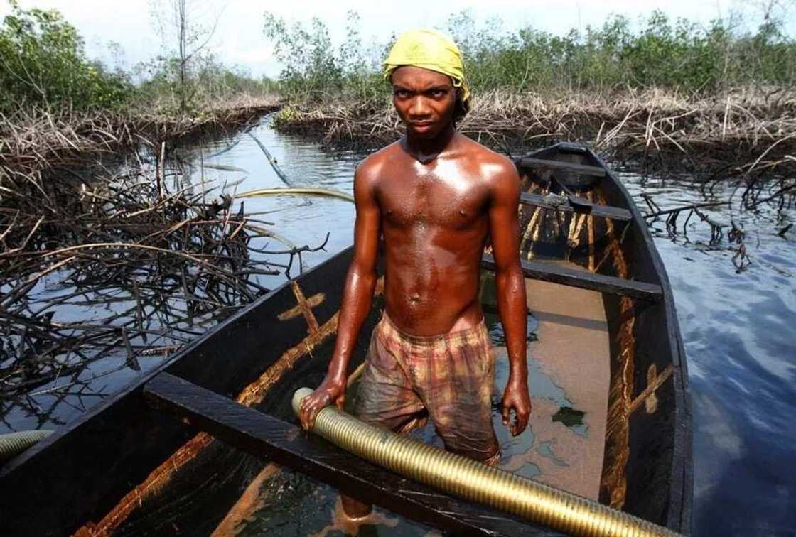 Niger Delta Avengers Niger Delta Avengers