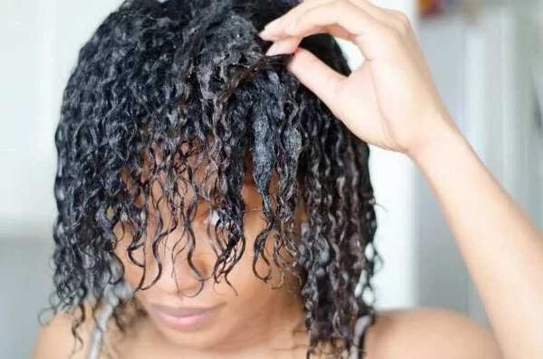 Raw shea butter for hair growth Raw shea butter for hair growth