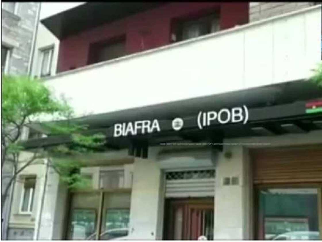 Biafra Agitation: IPOB set to take the world by storm, prepare for exhibition in spain Biafra Agitation: IPOB set to take the world by storm, prepare for exhibition in spain
