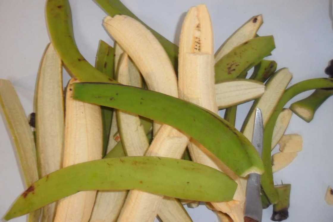 uses of unripe plantain peels uses of unripe plantain peels