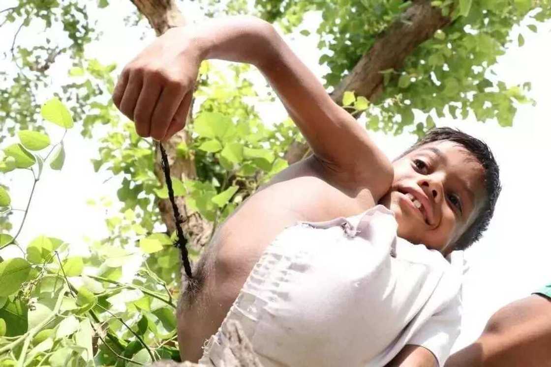 Jama’a na bautan wani yaro ‘mai bindi’ a kasar India (HOTUNA/BIDIYO) Jama’a na bautan wani yaro ‘mai bindi’ a kasar India (HOTUNA/BIDIYO)