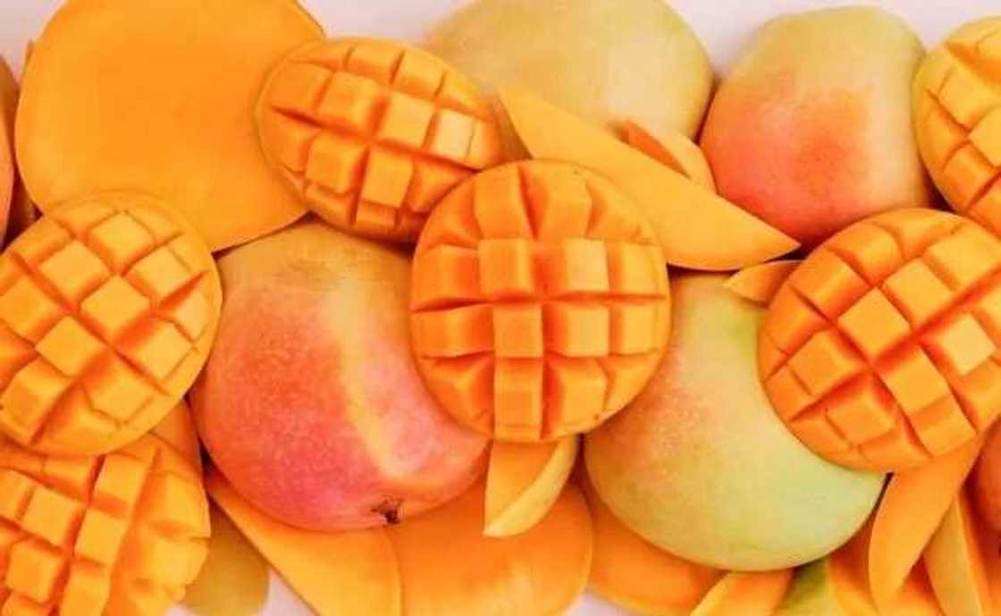 benefits of mango fruit benefits of mango fruit