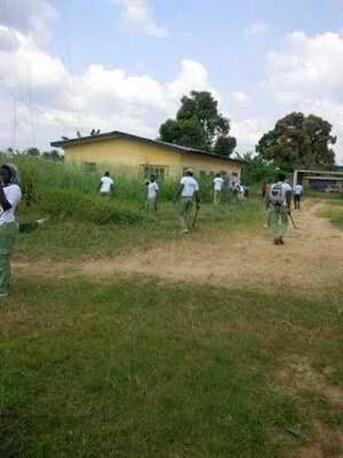 Corps Members Forced To Weed Before Clearance (Photos) Corps Members Forced To Weed Before Clearance (Photos)